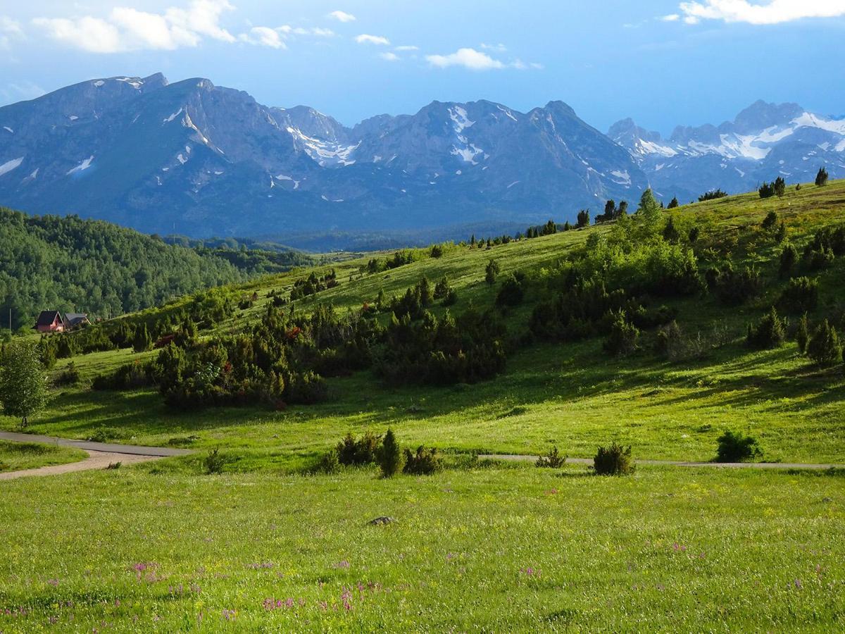 Durmitor View Lodge Žabljak Buitenkant foto